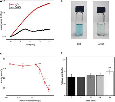 Reversible Inhibition of Iron Oxide Nanozyme by Guanidine Chloride